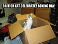 British Cat