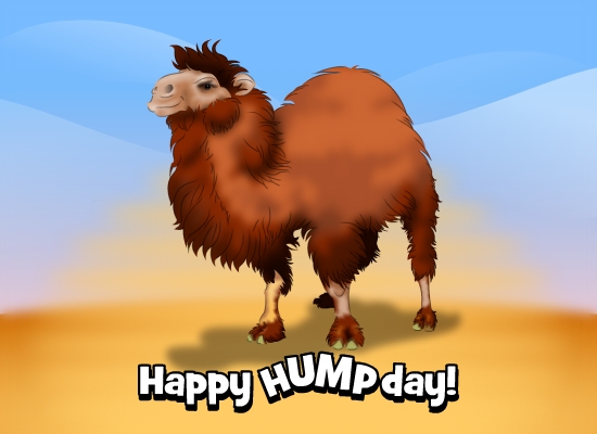funny hump day ecard